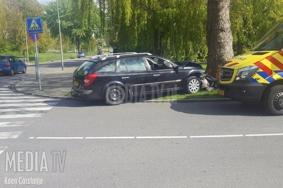 Auto rijdt tegen boom aan de Esdoornlaan in Rozenburg
