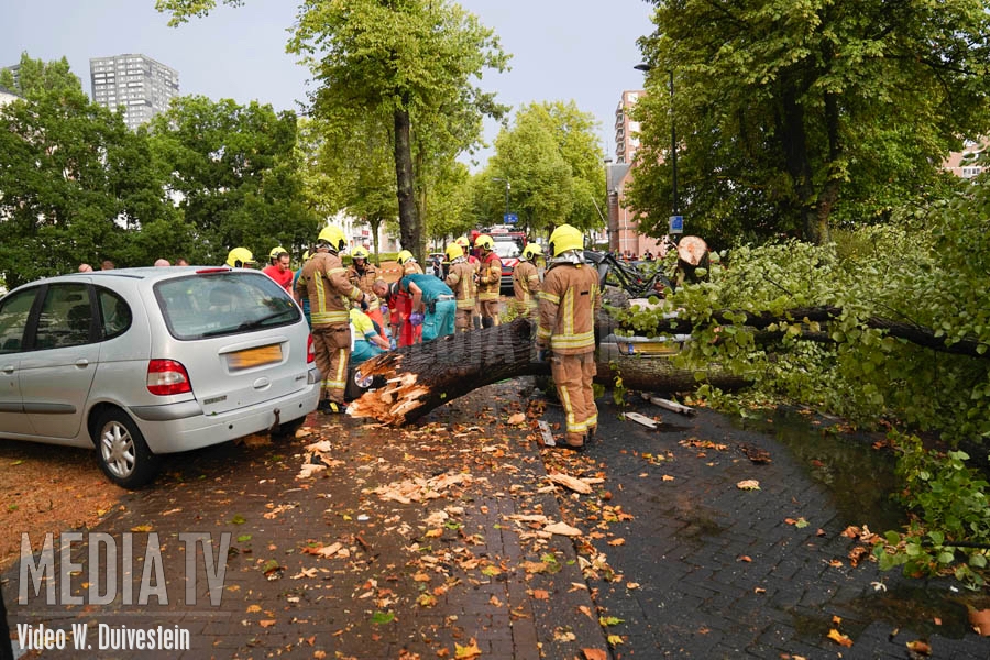 Dode na boom op auto Westersingel Rotterdam (video)