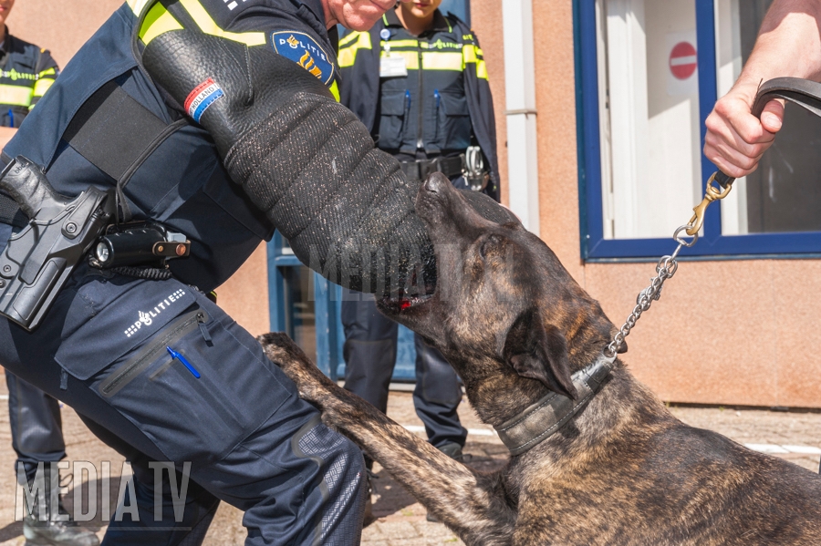Schiedammer gebeten door politiehond in Schiedam